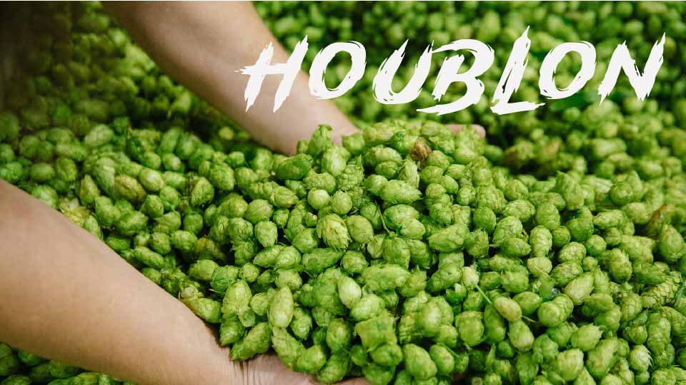 Houblon-1-01